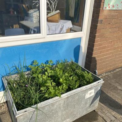 Prayer Garden Makeover